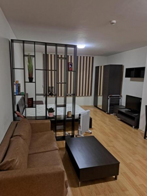 Studio Chill & Ski near the Gondola Bansko